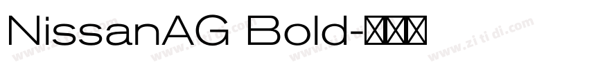 NissanAG Bold字体转换